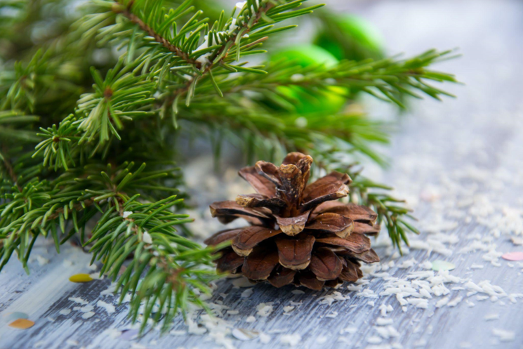 5 Reasons Why a Pink Christmas Tree is Perfect